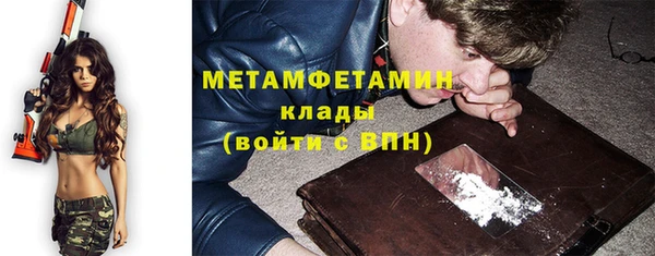 крисы Медвежьегорск