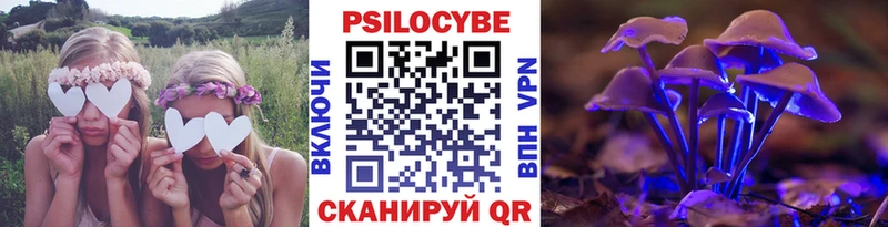 Галлюциногенные грибы Psilocybe  Вологда 