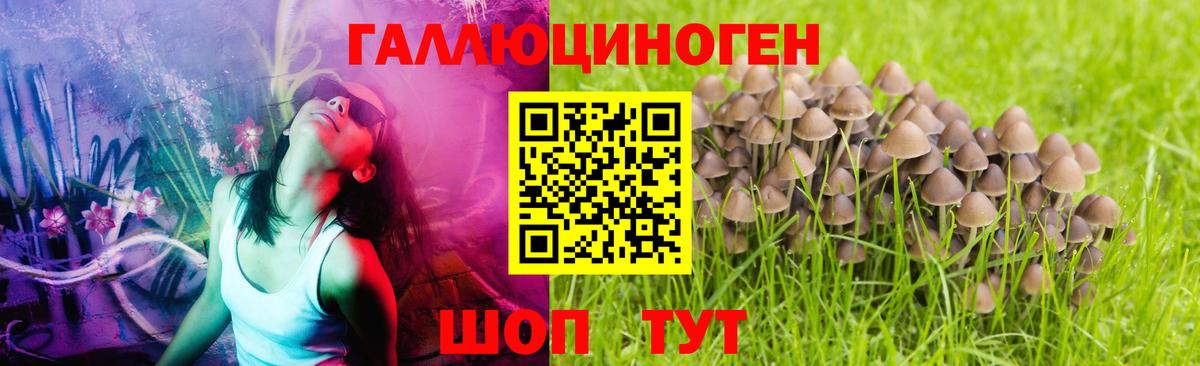 Псилоцибиновые грибы Magic Shrooms  Вологда 